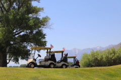 13 Carts on the course