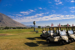 2 Golf Carts with flags