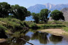 9 View along the course